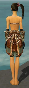 Ritualist Imperial Armor F gray arms legs back
