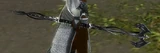 Darkwing Staff