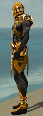 Ritualist Elite Kurzick Armor M dyed side