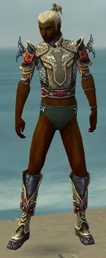 Assassin Monument Armor M gray chest feet front