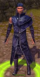 During the quest Togo's Ultimatum