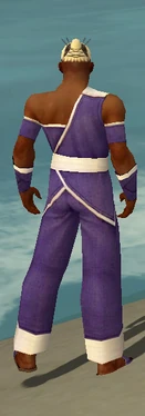 Monk Ascalon Armor M dyed back