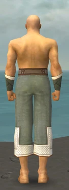 Monk Krytan Armor M gray arms legs back