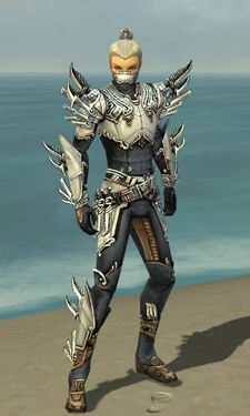 Assassin Asuran Armor M dyed front