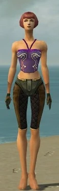 Mesmer Ancient Armor F gray arms legs front