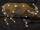 Miniature Celestial Ox