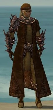 Ranger Ancient Armor M dyed front