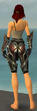Warrior Elite Kurzick Armor F gray arms legs back