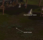 The buried corpse in Lion's Arch.