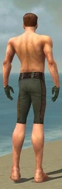 Mesmer Enchanter Armor M gray arms legs back