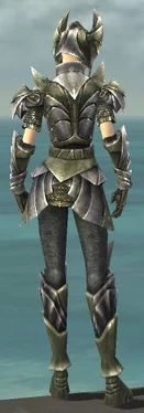 Warrior Templar Armor F gray back