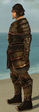 Warrior Shing Jea Armor M dyed side