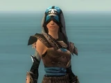 Dervish Monument armor