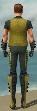Mesmer Rogue Armor M dyed back