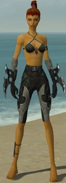 Assassin Kurzick Armor F gray arms legs front