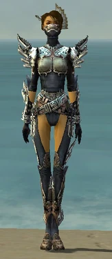 Assassin Asuran Armor F gray front