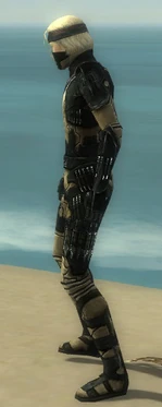 Assassin Kurzick Armor M dyed side