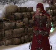 Bugged torch during Borlis Pass Mission.