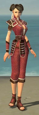 Monk Elite Judge Armor F dyed front