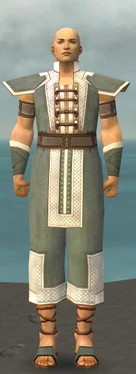 Monk Krytan Armor M gray front