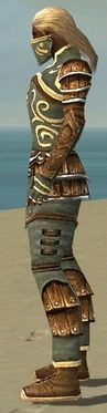 Ranger Shing Jea Armor M gray side