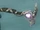 Sulmeng's Staff