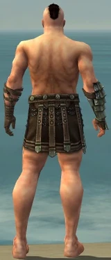 Warrior Elite Gladiator Armor M gray arms legs back