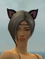 Furrocious Ears gray front