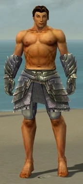 Warrior Templar Armor M gray arms legs front