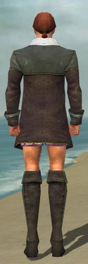 Mesmer Tyrian Armor M gray chest feet back