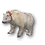 Polar Bear, Wintersday Chest