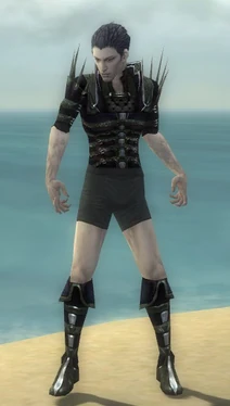 Necromancer Elite Cabal Armor M gray chest feet front