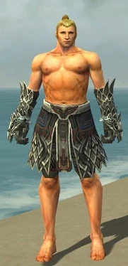 Warrior Silver Eagle Armor M gray arms legs front