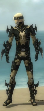 Assassin Kurzick Armor M dyed front