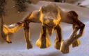 Clobberhusk