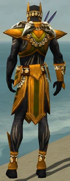 Ritualist Elite Kurzick Armor M dyed back