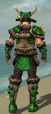 Warrior Elite Charr Hide Armor M dyed back