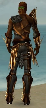 Ranger Elite Sunspear Armor M gray back