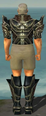 Warrior Elite Kurzick Armor M gray chest feet back