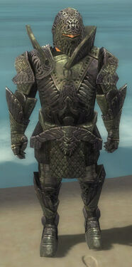 Warrior Elite Platemail Armor M gray front