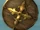 Round Shield
