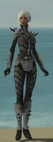 Elementalist Obsidian Armor F gray front.jpg