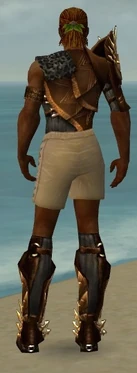 Ranger Elite Sunspear Armor M gray chest feet back