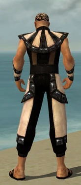 Monk Obsidian Armor M dyed back