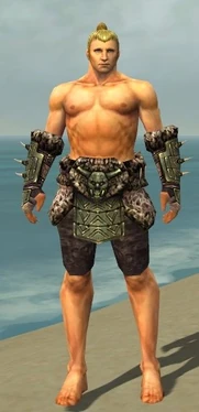 Warrior Elite Charr Hide Armor M gray arms legs front