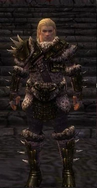 Warrior Elite Charr Hide Armor M nohelmet