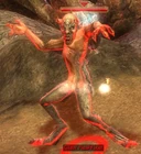 Image-Claw Fleshfixer