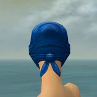 Mask of the Mo Zing F dyed back