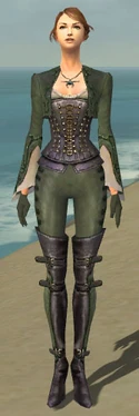 Mesmer Rogue Armor F gray front