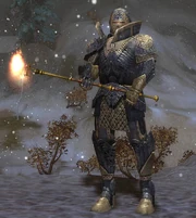 A torch held by a player